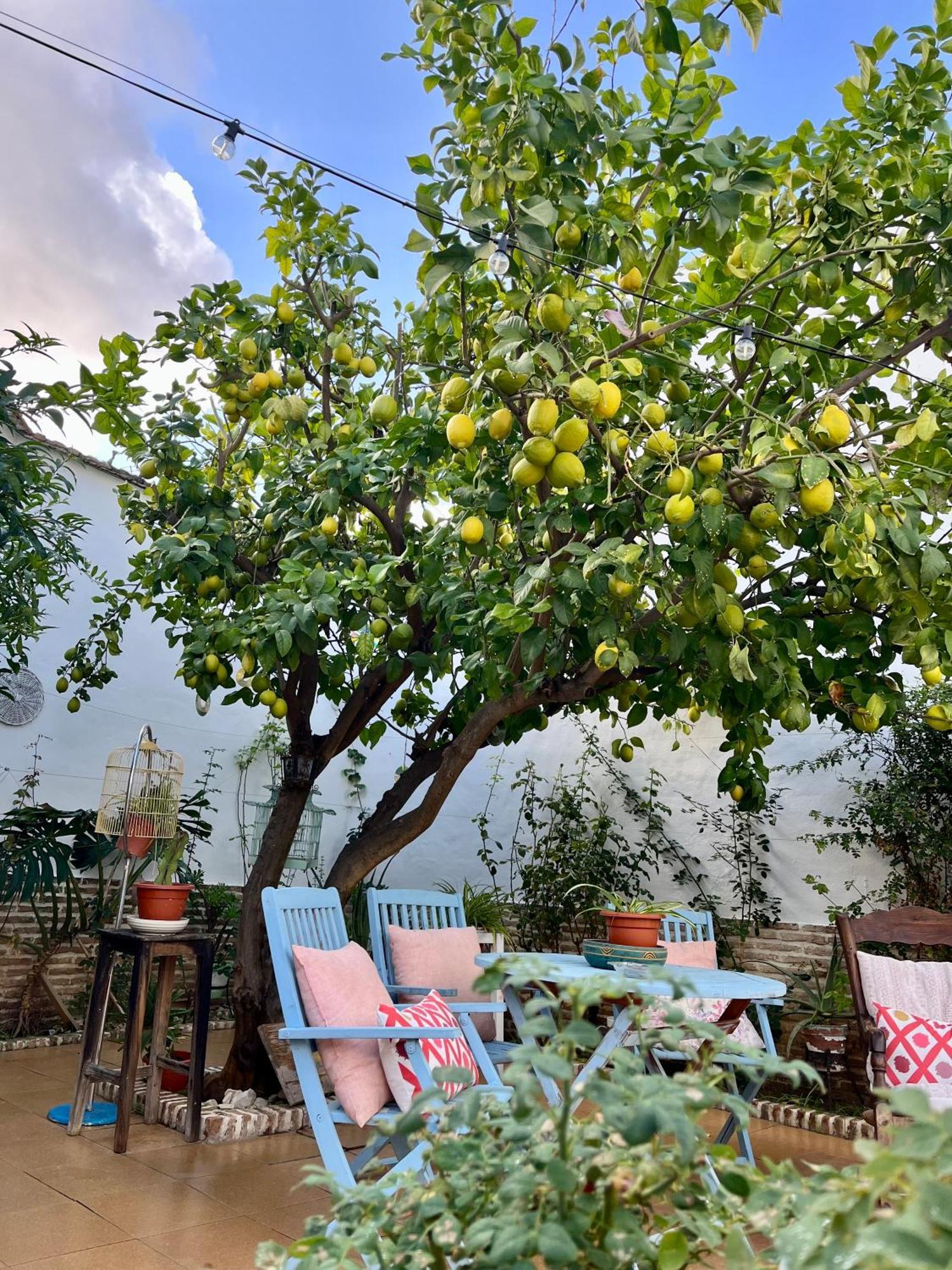 El Patio Del Limonero Villa Écija Kültér fotó